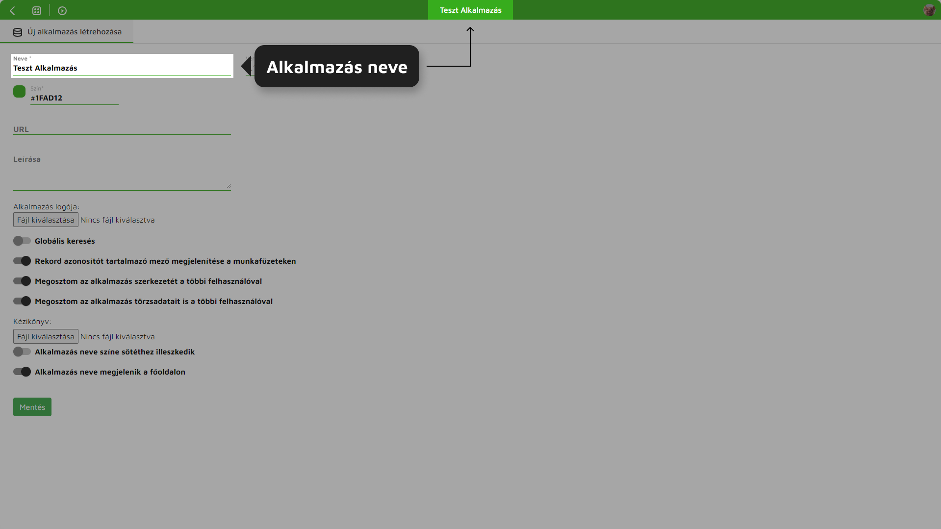 alkalmazas_neve_fejlecben.png