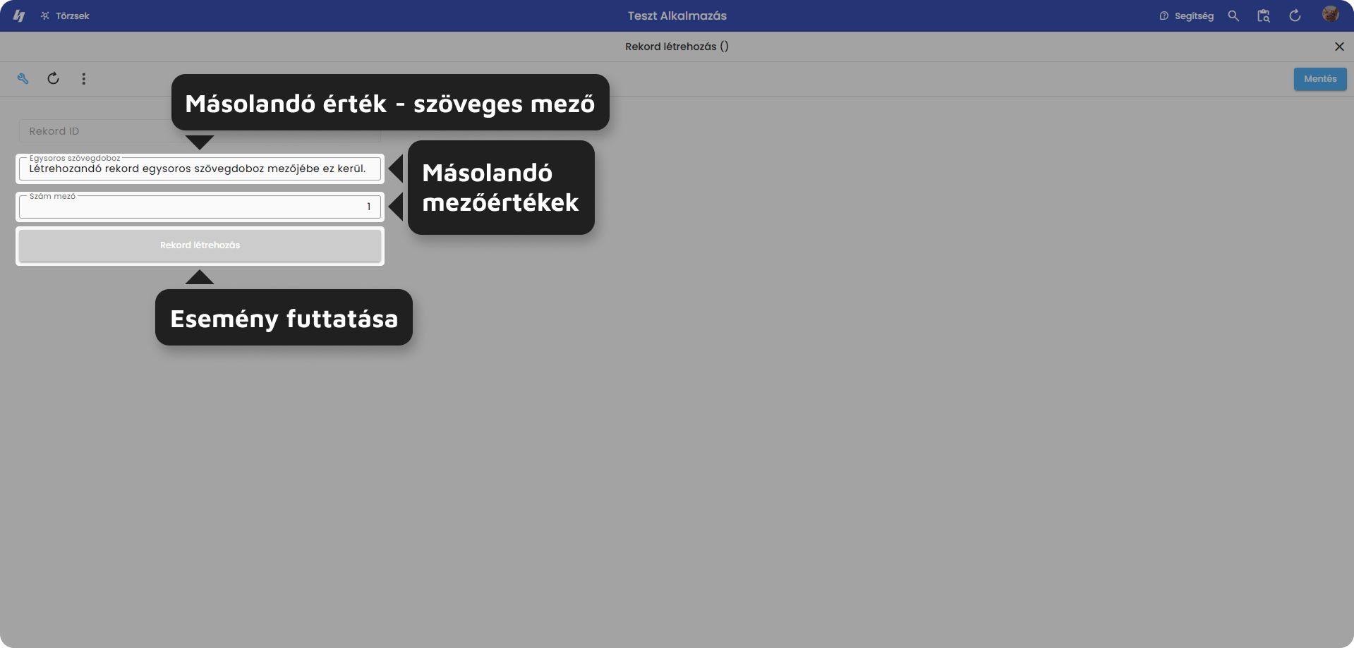 rekord_letrehozasa_felulet.png