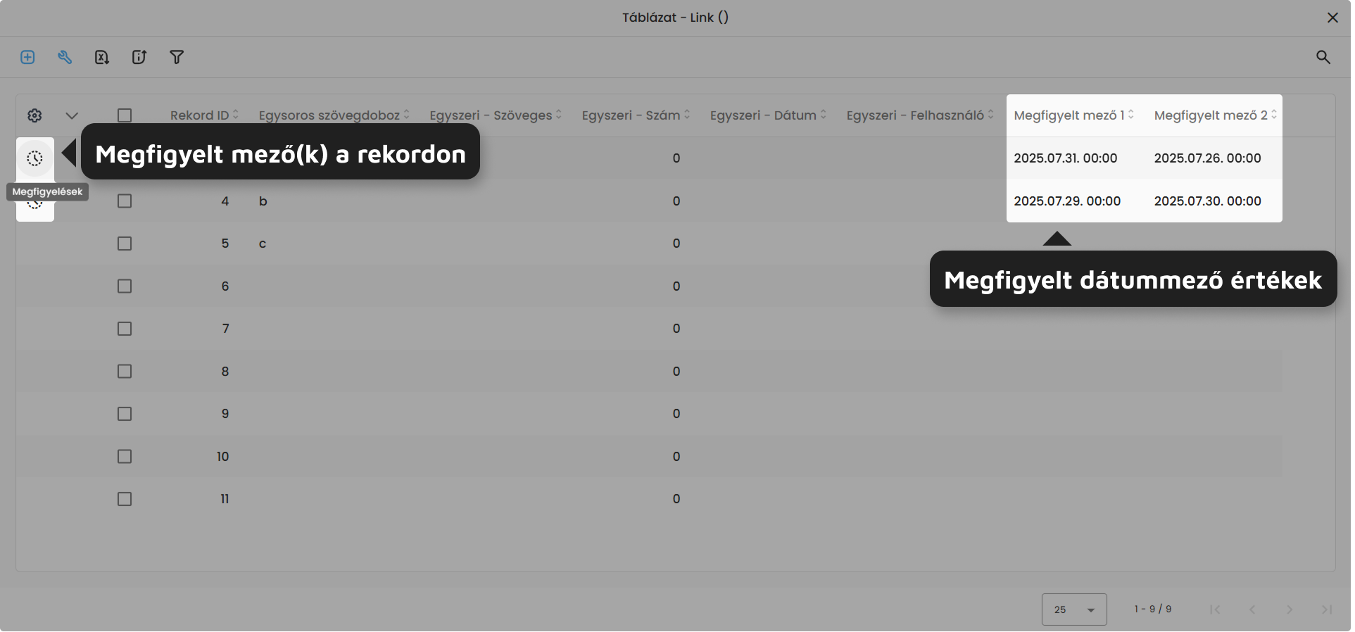 megfigyelt_mezok_a_rekordon_ikon.png