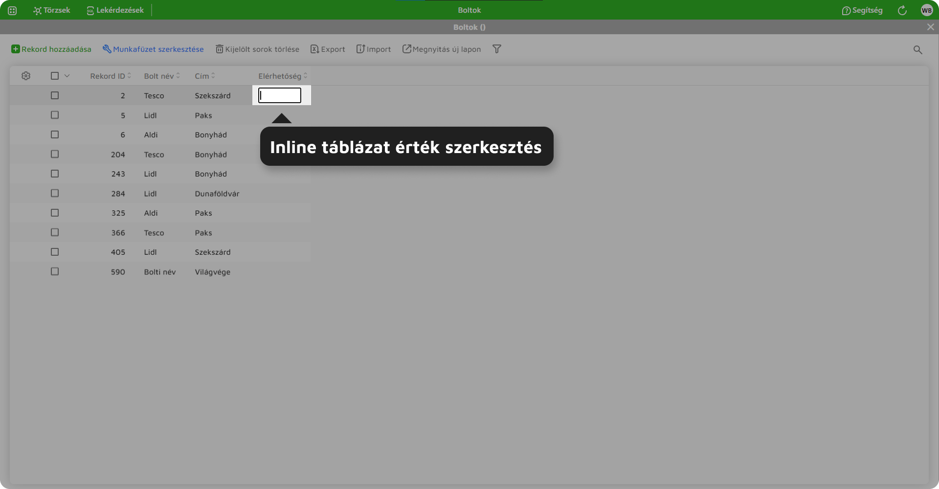 Táblázat_Alapadatok inline táblázat futófelületen.png